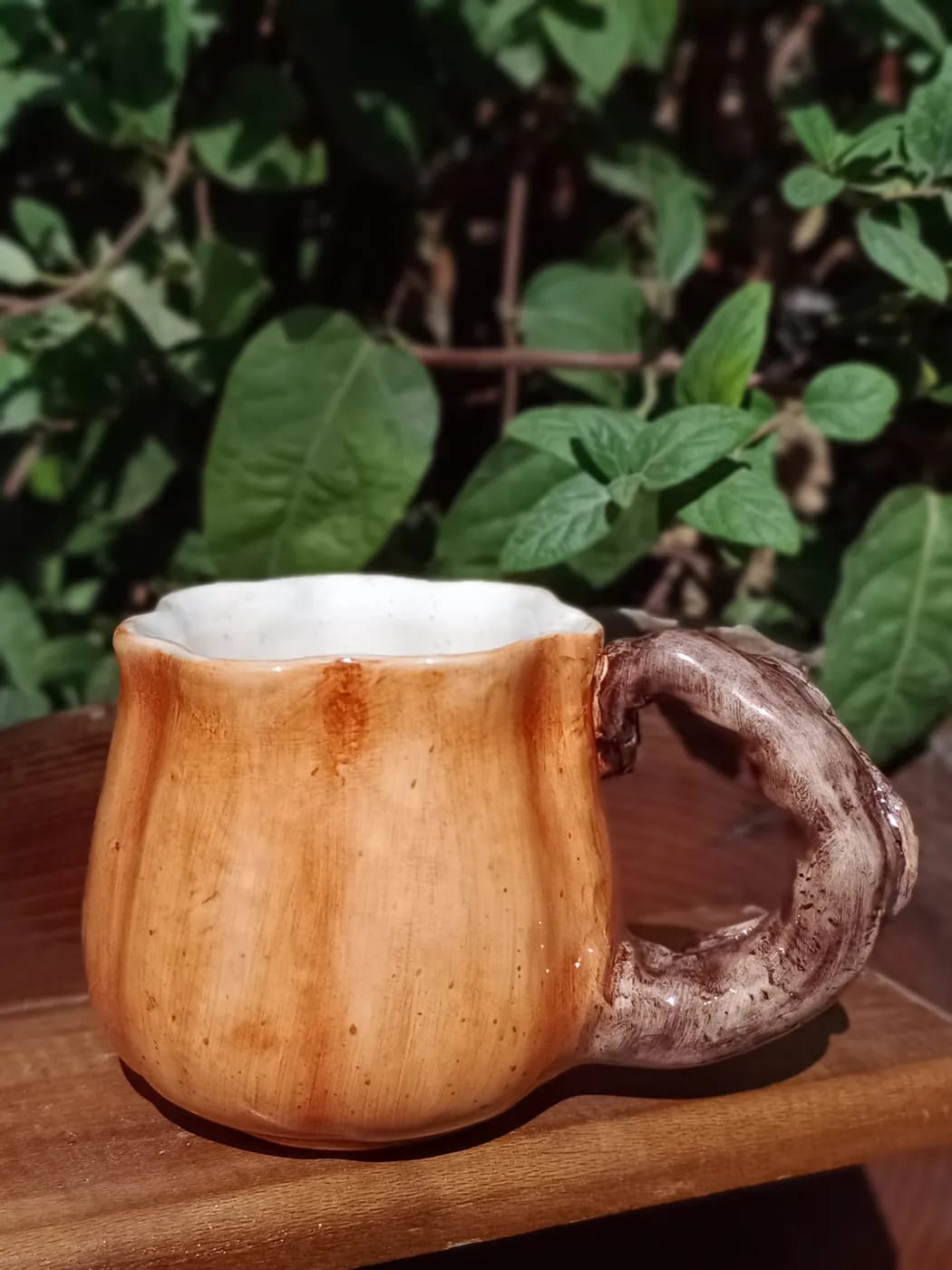 ماگ کدویی — تصویر 4