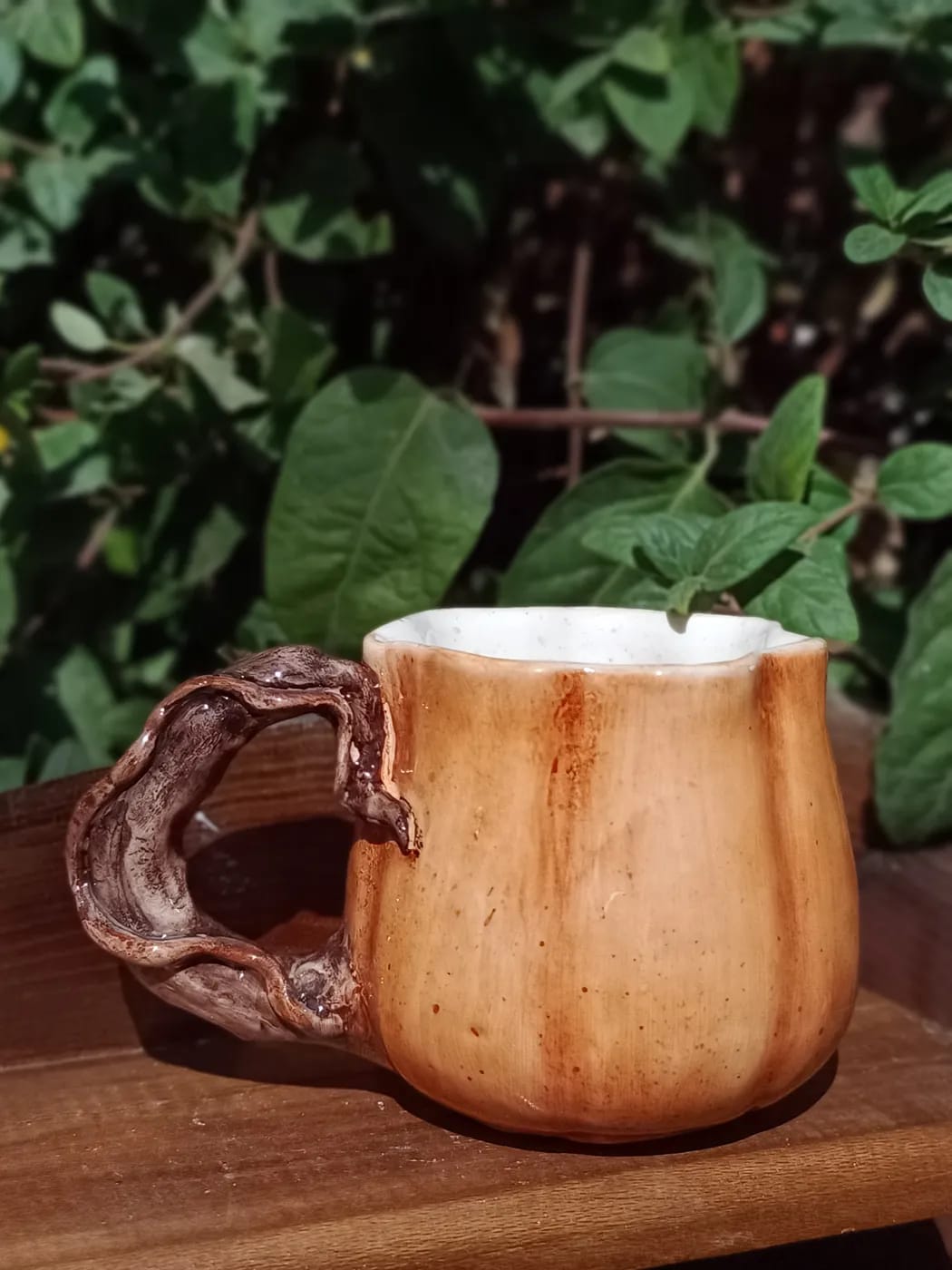 ماگ کدویی — تصویر 3
